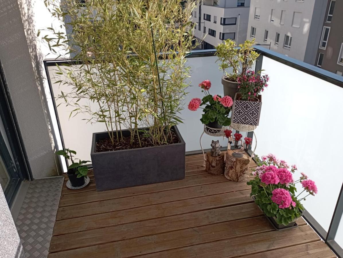 Chambre Nature Chez L'Habitant Estrasburgo Exterior foto